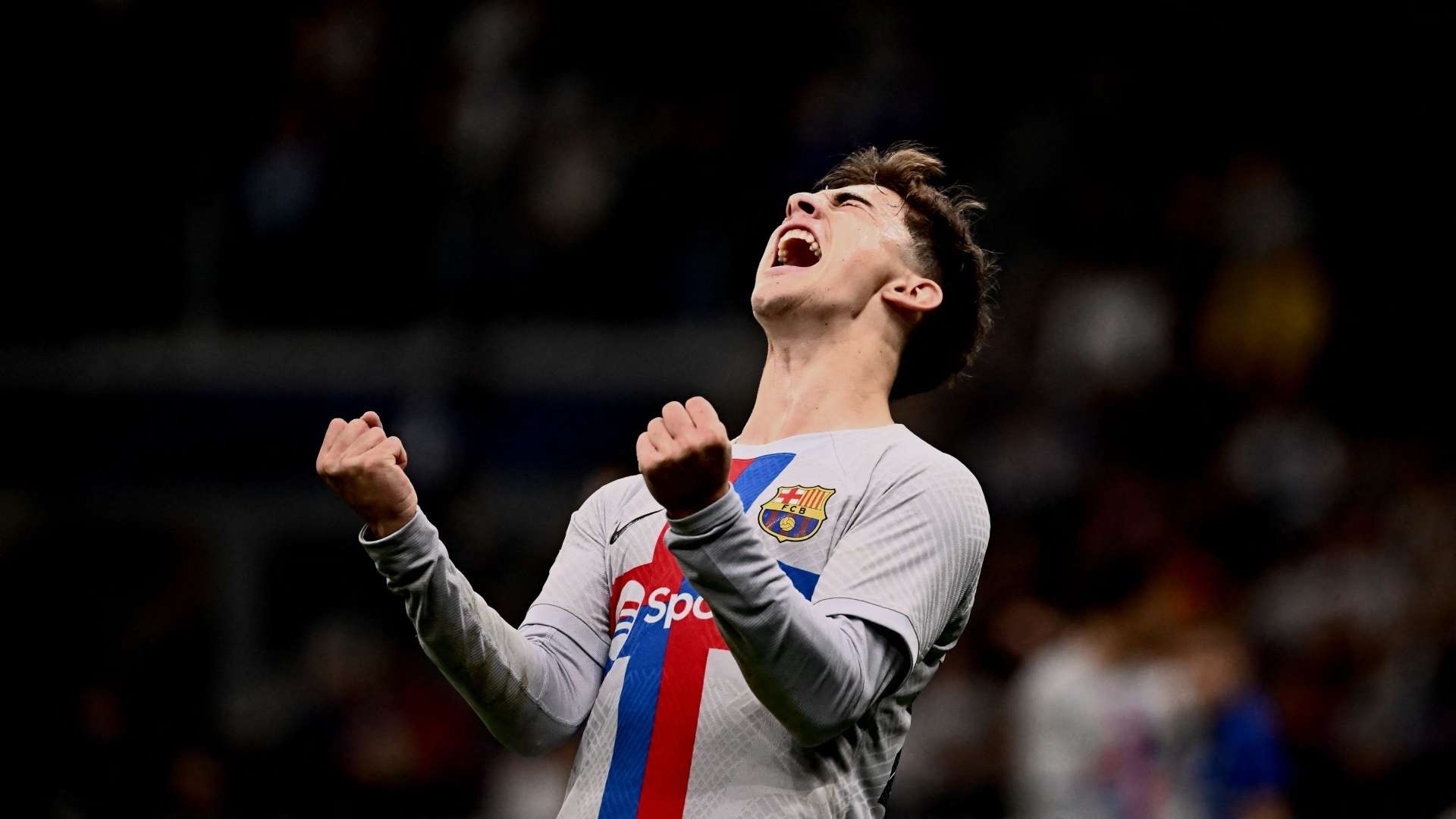 潜力与挑战 潜力与挑战